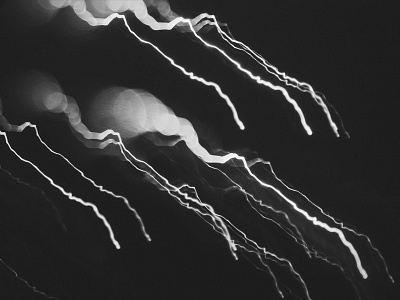 [32/42] black and white dot focus light line long exposure night photography