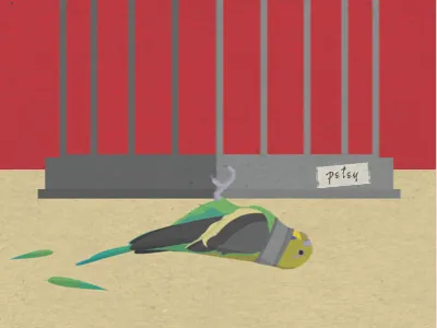 Harry, I took care of it! animal colorful dumb fan minimal movie poster print texture