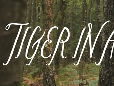 Tiger in a Jar Logotype lettering logo logotype tiger