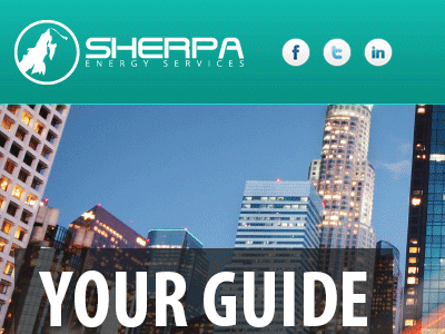 Sherpa Energy Services energy graphs icons illustration teal web