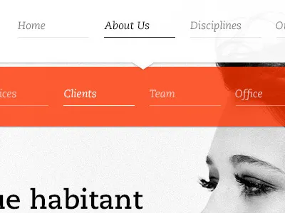 Aviet Navigation arvik aviet caecilia clean minimal navigation psd theme web design website