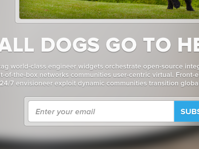 NewHeaven landing page (view attachment) clean concept dogs hotel landing landing page minimal simple ui user interface web