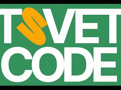 TSVETCODE IDENTITY & WEB DESIGN branding design graphic design illustration typography ui