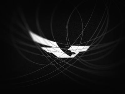 Seagull Holdings Logo after beach before flight fly holdings logo seagull segal wings
