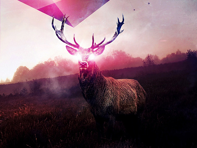 The call digital art drawing misty stag wallpapers