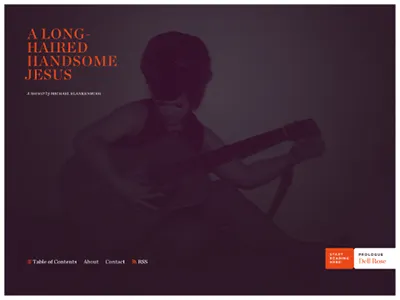 A Long-Haired Handsome Jesus, Home Page chronicle display gotham memoir orange purple small caps the memoir project