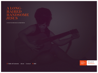 A Long-Haired Handsome Jesus, Home Page chronicle display gotham memoir orange purple small caps the memoir project