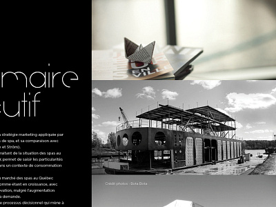 Bota Bota bota bota data visualization editorial design graphic design marketing report montreal spa visual identity