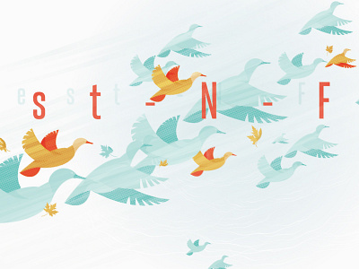 DU Poster bird duck ducks flying poster
