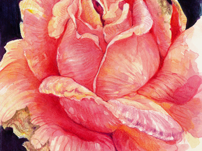 Night Call call decay night nightcall rose