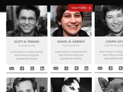 Our new team page our team profile page staff staff page team page