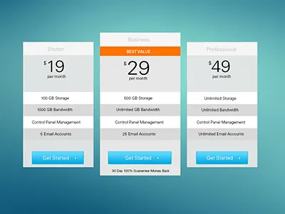 Choose your plan design pricing user interface hosting website