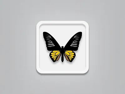 Butterfly rebound (free vector file) butterfly vector
