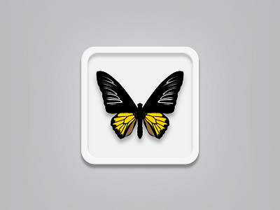 Butterfly rebound (free vector file) butterfly vector