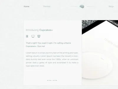Web Design design web
