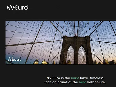 NVEuro About Page Mockup icons minimal minimal design mobile mockup squarespace web design website