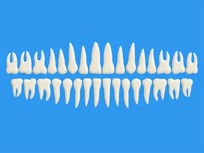 Free Teeth (PSD) blue dentist free mouth photoshop psd teeth tooth vector white