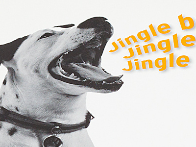 Holiday Card for Humane Society of Boulder Valley brand identity marketing print