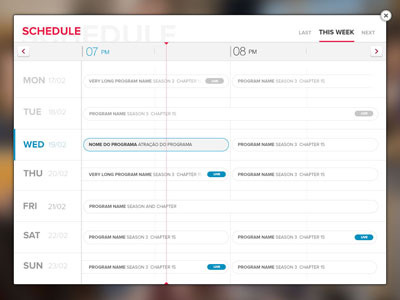 Schedule agenda calendar chart program schedule scheme show table tv