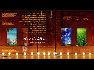 How To Live cd cd cover design music packaging