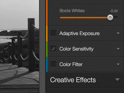 Photo Editor UI checkbox controls dark ui dart117 ui user interface
