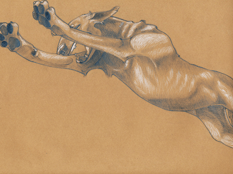 .....................