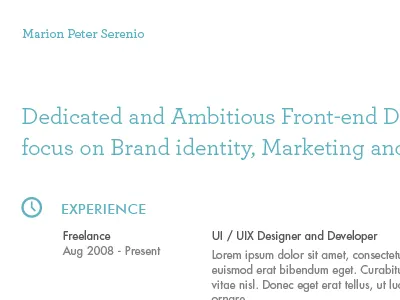 Resume clean curriculum vitae cv resume typography white