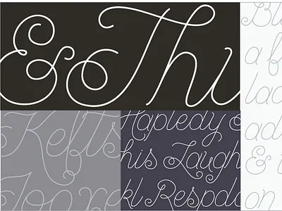 Specs for Blue Spruce - regular weight calligraphy design font graphic design hand lettered hand lettering lettering script type type design typeface typeface design typography