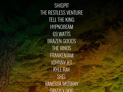 Gig Poster: Fernstock Festival carnac fernstock gig hypnobeam photography poster rocknroll