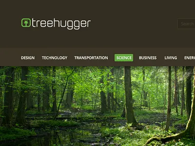 treehugger blog clean design detail flat menu minimal news settings treehugger ui user experience user interface ux web