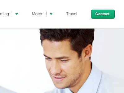 Insurance Homepage (attached) footer homepage html navigation ui ux website