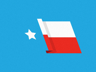 Texas Flag flag lone star texas