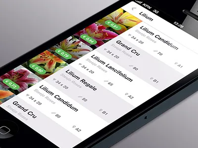 Flower App List app flower iphone list native shop shopping view