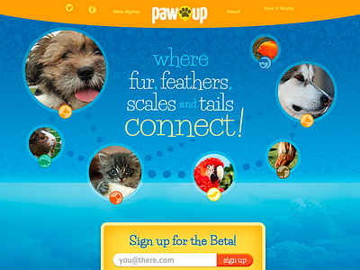 PawUp Beta Sign Up beta bird cat dog fish hamster horse network one page pets sign signup social splash ui up ux