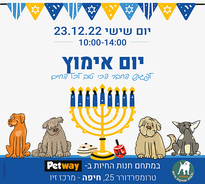 Hanukkah ad for adoption ad for adoption animals cats design dogs flyer graphic design