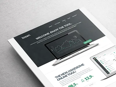 Tosan Dribbble Preview design layout nicolas kayser portolfio template themeforest tosan webdesign wordpress