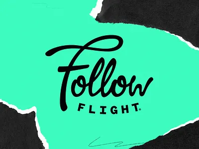 Follow Flight Logotype badge branding disc golf handdrawn line logo logotype script type type pairing
