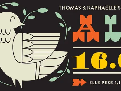 Baby announcement baby announcement bird dude illustration