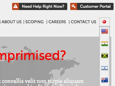 Drop Down Language Selector down drop language menu
