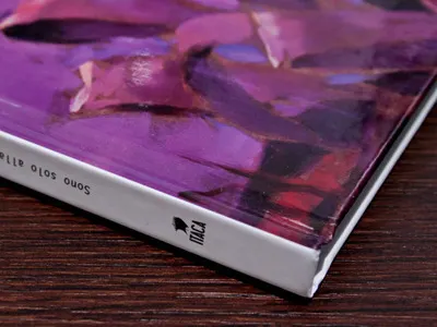 Gabriella Sernesi Portfolio Book artist book color craft design editorial hardcover logo paint print