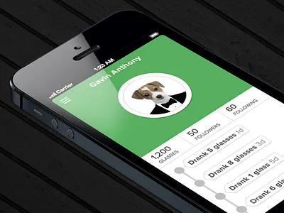iPhone Profile Interface 5 app clean design glasses of water green ios iphone minimalistic network profile social ui