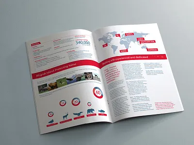 Camco Afognak Island brochure brochure charts design info graphic info graphics infographic infographics map print