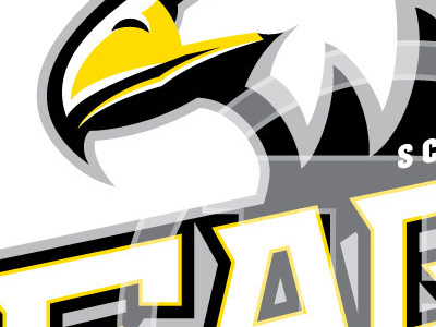 Eagle Head Mascot eagle head mascot sports template
