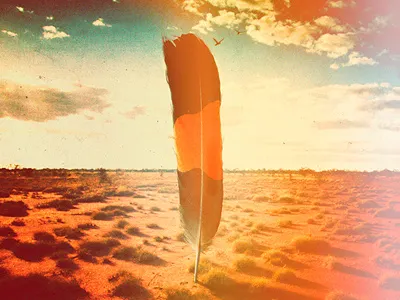 Spirit Bird - Xavier Rudd album art art collage cover art design graphic design illustration music photoshop print xavier rudd