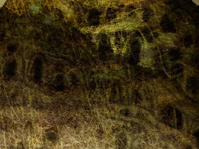 Tarot des 4 directions drawing photoshop