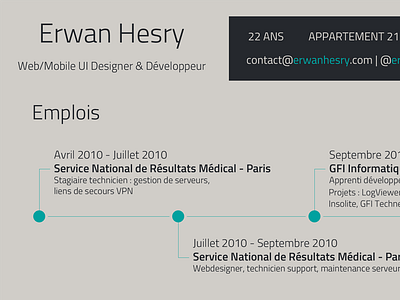 Resume cv experience graphic new resume timeline visual identity work