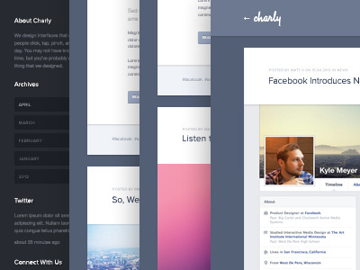 You know his usual malarky.. blog blue charly clean minimal share sidebar simple ui ux web wordpress