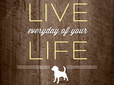 Live Quote design dog font graphic design hero layout live print print design quote type typography wisdom script