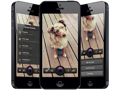 Snapchat Redesign camera design dog freebie interface ios psd rebound redesign retina snapchat ui ux
