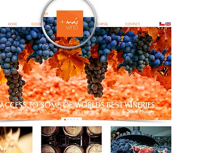 Masvino best brand branding dealer design dribbble favorite fun orange popular webdesign website design website redesign wine wine dealer